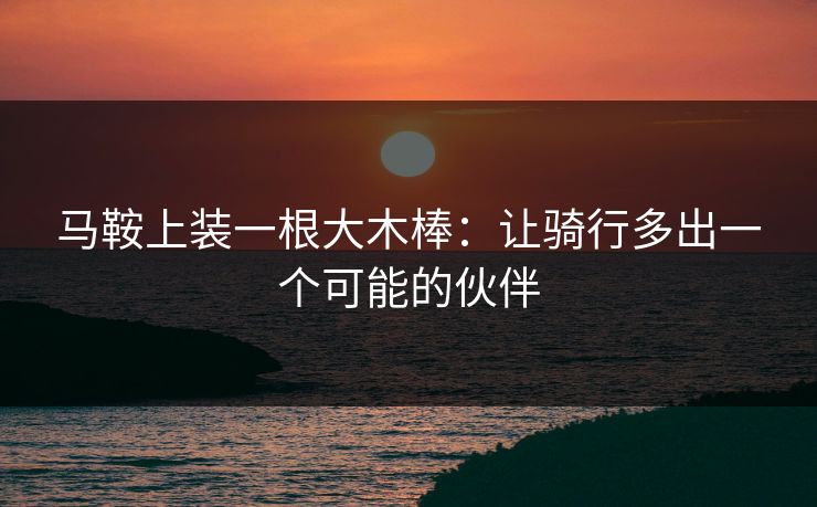 马鞍上装一根大木棒：让骑行多出一个可能的伙伴