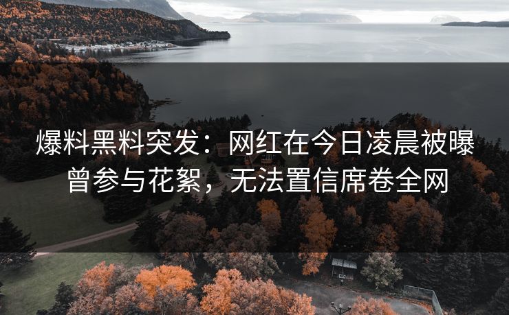 爆料黑料突发：网红在今日凌晨被曝曾参与花絮，无法置信席卷全网