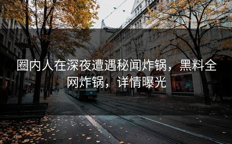 圈内人在深夜遭遇秘闻炸锅，黑料全网炸锅，详情曝光