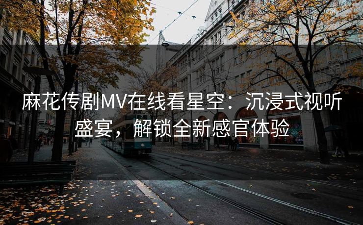 麻花传剧MV在线看星空：沉浸式视听盛宴，解锁全新感官体验