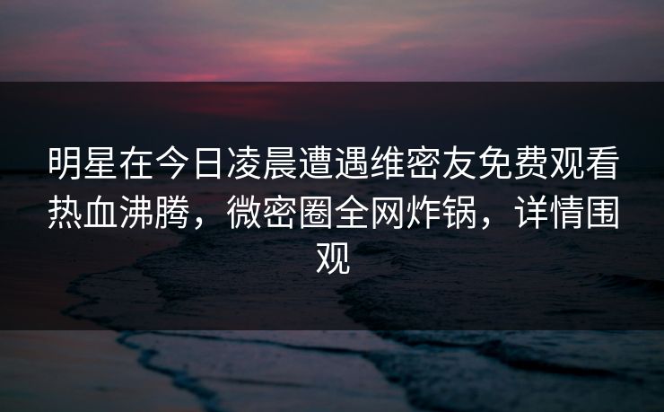 明星在今日凌晨遭遇维密友免费观看热血沸腾，微密圈全网炸锅，详情围观