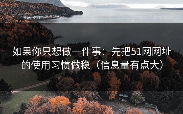 如果你只想做一件事：先把51网网址的使用习惯做稳（信息量有点大）