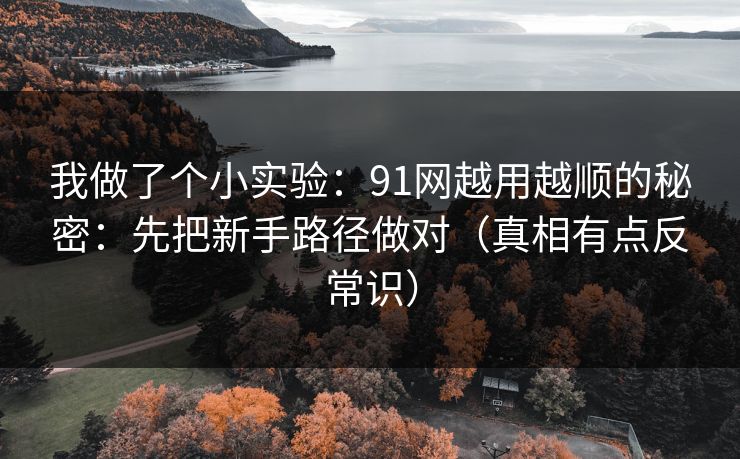 我做了个小实验：91网越用越顺的秘密：先把新手路径做对（真相有点反常识）